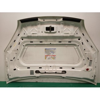 Recambio de capot para fiat doblo autobús (263_) 1.3 d multijet (263axc1a) referencia OEM IAM 52047966  