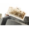 Recambio de piloto trasero izquierdo para ford ranger (er) 2.5 12v td cat referencia OEM IAM 0431914  
