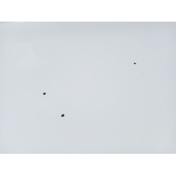 Recambio de capot para ford kuga i 2.0 tdci referencia OEM IAM   