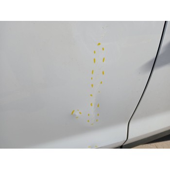 Recambio de puerta trasera derecha para ford kuga i 2.0 tdci referencia OEM IAM   