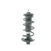 Recambio de amortiguador delantero izquierdo para peugeot 107 1.0 cat (384f) referencia OEM IAM 485200H010  