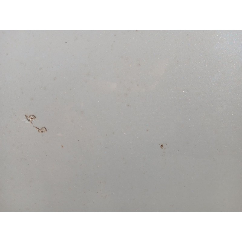 PUERTA TRASERA DERECHA