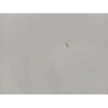 Recambio de puerta trasera derecha para mazda cx-30 (dm, dt, ed) skyactiv-g m hybrid referencia OEM IAM   