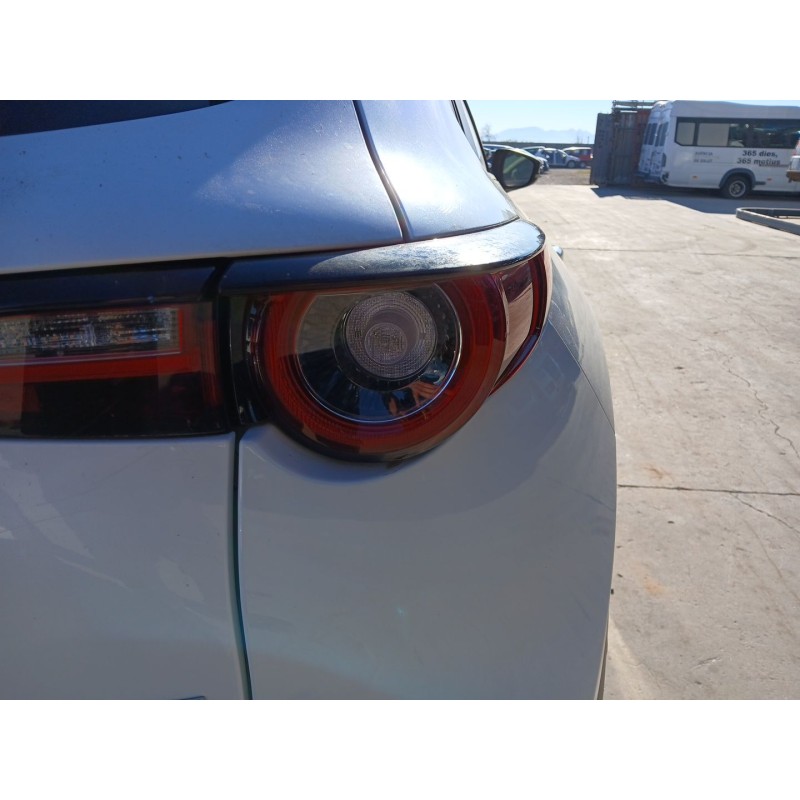 PILOTO TRASERO DERECHO