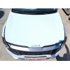 Recambio de capot para kia sportage v (nq5) 1.6 t-gdi referencia OEM IAM   