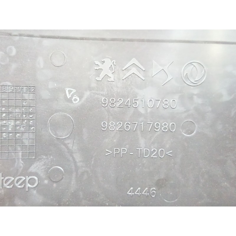 CAJA RELES / FUSIBLES 9826717980