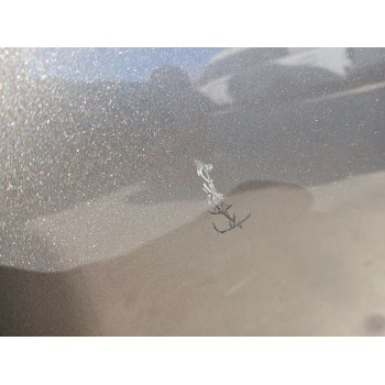 Recambio de puerta delantera derecha para honda cr-v (re) 2.2 ctdi referencia OEM IAM 67010SWWE00ZZ  