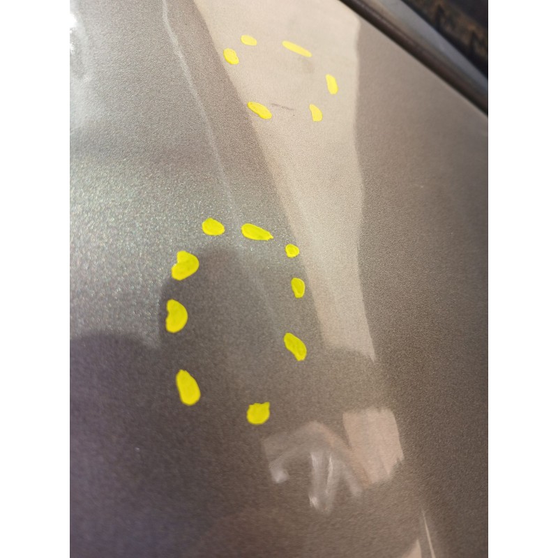 PUERTA TRASERA IZQUIERDA