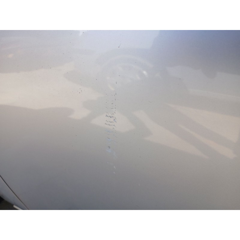 PUERTA DELANTERA IZQUIERDA