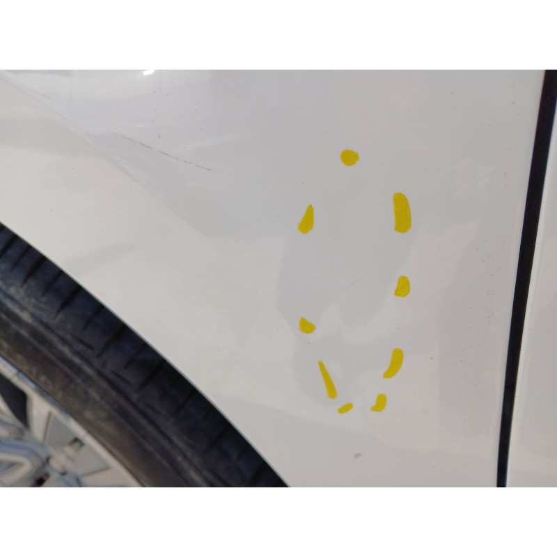 ALETA DELANTERA IZQUIERDA