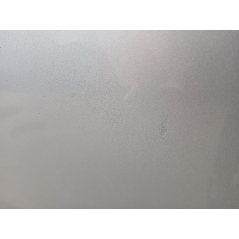 PUERTA TRASERA IZQUIERDA
