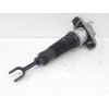 Recambio de amortiguador delantero derecho para audi a8 d3 (4e2, 4e8) 3.7 quattro referencia OEM IAM   
