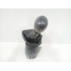 Recambio de palanca cambio para renault master iii autobús (jv) 2.3 dci 145 fwd (jv0f, jv0s, jv0t) referencia OEM IAM   