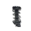 Recambio de amortiguador delantero derecho para ford focus iv (hn) 1.0 ecoboost referencia OEM IAM JX6118045XEE  