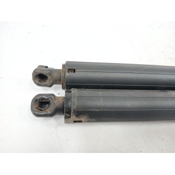 Recambio de amortiguadores maletero / porton para bmw x2 (f39) sdrive 18 i referencia OEM IAM 17893910  