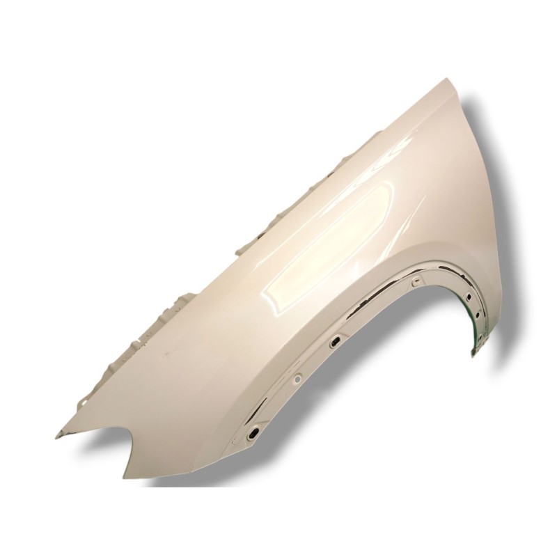 ALETA DELANTERA IZQUIERDA