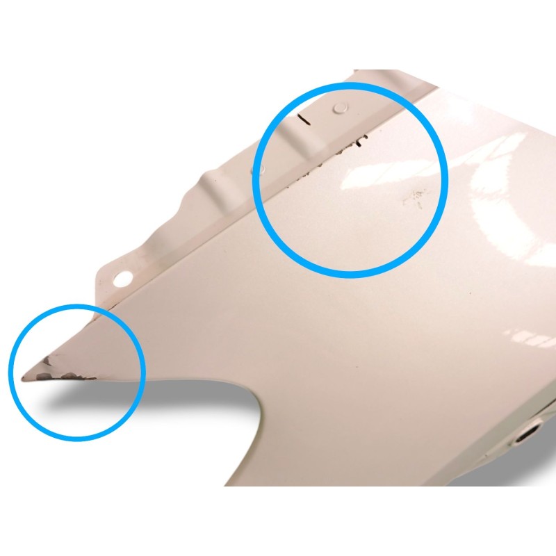 ALETA DELANTERA IZQUIERDA