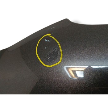 Recambio de capot para audi a4 b8 (8k2) 2.0 tdi referencia OEM IAM 8K0823029D  
