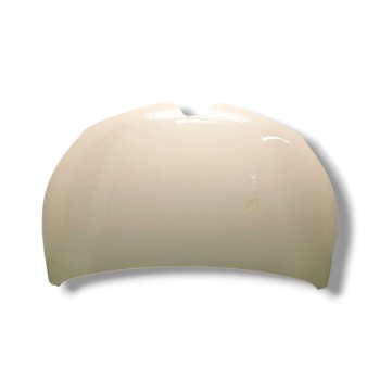 CAPOT 651004529R 