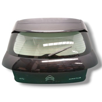 PORTON TRASERO 9800805380 