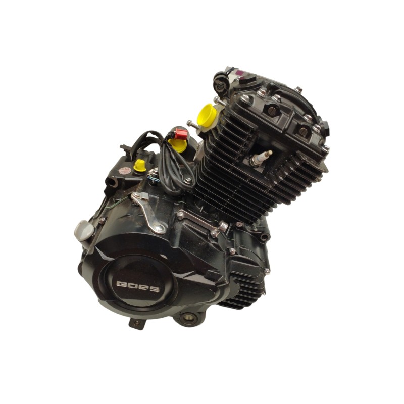 Recambio de motor para goes sk125 22 referencia OEM IAM SK157FMI 8163 KM SK157FMID