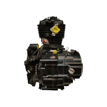 Recambio de motor para goes sk125 22 referencia OEM IAM SK157FMI 8163 KM SK157FMID