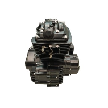 Recambio de motor para goes sk125 22 referencia OEM IAM SK157FMI 8163 KM SK157FMID