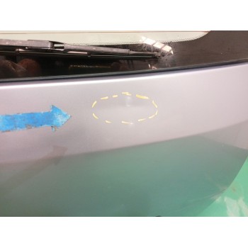 Recambio de porton trasero para ford fusion (ju_) 1.6 referencia OEM IAM 1756576  