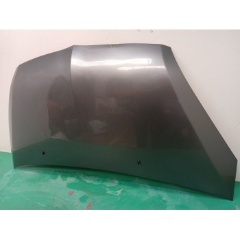 Recambio de capot para mitsubishi colt vi (z3_a, z2_a) 1.3 (z21a) referencia OEM IAM MN161899  