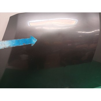 Recambio de capot para mitsubishi colt vi (z3_a, z2_a) 1.3 (z21a) referencia OEM IAM MN161899  