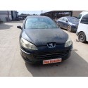 PEUGEOT 407 (6D_)