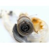 Recambio de airbag cortina delantero izquierdo para renault clio v (b7_) 1.3 tce 130 (b7mf) referencia OEM IAM 985P12566R 636046