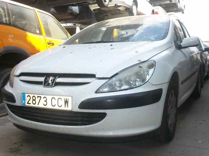 PEUGEOT 307 (S1)
