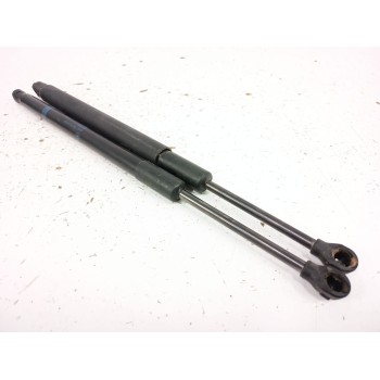 Recambio de amortiguadores capo para mercedes-benz gle (v167) gle 300 d 4-matic (167.109) referencia OEM IAM A1679800164  