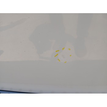 Recambio de puerta delantera izquierda para bmw x3 (e83) 2.0 d referencia OEM IAM   