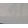 Recambio de puerta delantera izquierda para bmw x3 (e83) 2.0 d referencia OEM IAM   