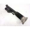 Recambio de amortiguador trasero derecho para mercedes-benz gle (v167) gle 300 d 4-matic (167.109) referencia OEM IAM A167320220