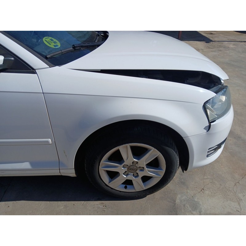 Recambio de aleta delantera derecha para audi a3 sportback (8pa) 1.6 tdi referencia OEM IAM   