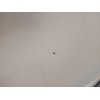 Recambio de puerta delantera derecha para hyundai tucson (tl, tle) 1.7 crdi referencia OEM IAM   