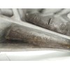 Recambio de diferencial delantero para mercedes-benz gle (v167) gle 300 d 4-matic (167.109) referencia OEM IAM   