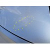 Recambio de capot para citroën c4 picasso ii 1.6 hdi / bluehdi 115 referencia OEM IAM   
