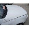Recambio de capot para volkswagen passat b6 (3c2) 2.0 tdi referencia OEM IAM   