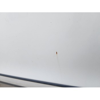 Recambio de puerta delantera izquierda para volkswagen passat b6 (3c2) 2.0 tdi referencia OEM IAM   
