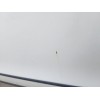 Recambio de puerta delantera izquierda para volkswagen passat b6 (3c2) 2.0 tdi referencia OEM IAM   