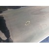 Recambio de puerta delantera derecha para bmw x5 (e53) 3.0 i referencia OEM IAM   