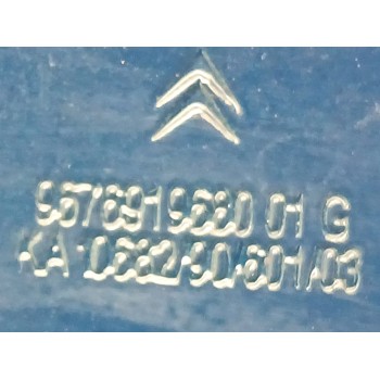 Recambio de aleta delantera izquierda para citroën c4 picasso 1.6 blue-hdi fap referencia OEM IAM 967691968001G  