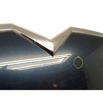 Recambio de capot para citroën c5 iii (rd_) 2.7 hdi referencia OEM IAM 7901P3  