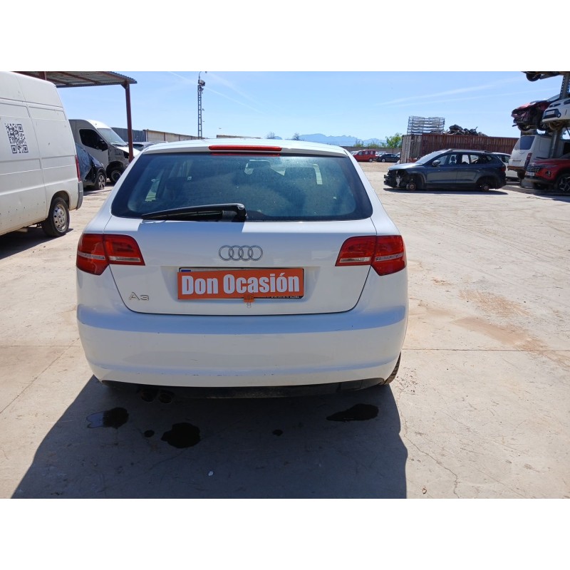 PORTON TRASERO