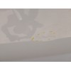 Recambio de puerta delantera izquierda para hyundai i20 iii (bc3, bi3) 1.0 t-gdi referencia OEM IAM   
