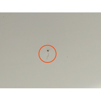 Recambio de puerta delantera izquierda para kia sportage iv (ql, qle) 1.7 crdi referencia OEM IAM 760033W001 OBSERVAR FOTOS 